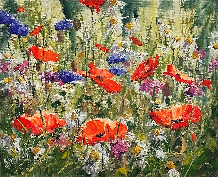 Poppies and Wildflowers - Lahinch Art Gallery