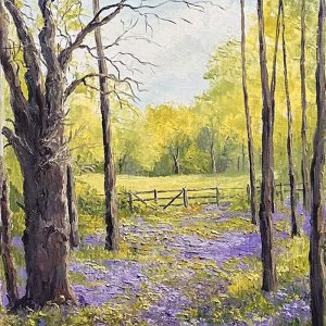 Coming out of Bluebell Wood