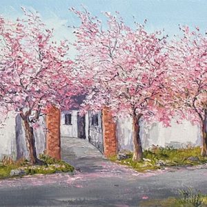 Cherry Blossom at the Farm