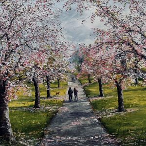 Cherry Blossom in Herbert Park
