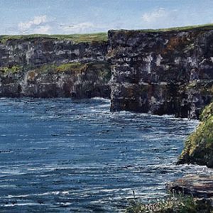 Seagulls on Cliffs of Moher