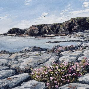 The Burren Flowers