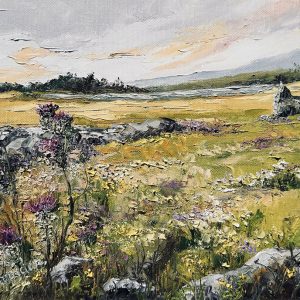 Wildflowers Connemara