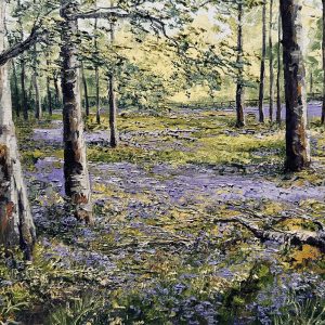 Bluebell Woodland