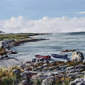 Summer Day Connemara