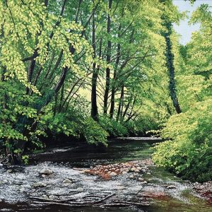 A Forest in Summer