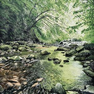 Knocksink River Run