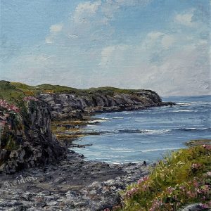 Seapinks Spanish Point